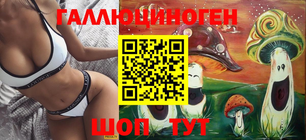 Псилоцибиновые грибы Psilocybe Каменск-Шахтинский