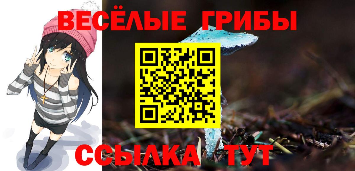 Галлюциногенные грибы GOLDEN TEACHER  Каменск-Шахтинский  Галлюциногенные грибы Magic Shrooms 