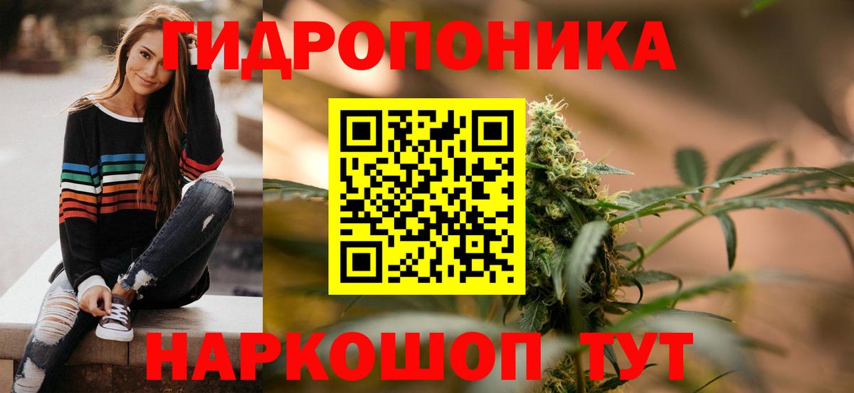 Шишки марихуана семена Каменск-Шахтинский